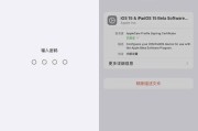 使用PE怎么教程完美学会IOS系统（一站式指南助你掌握IOS系统的使用技巧）