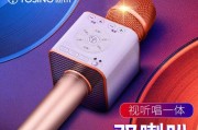 2021年最受欢迎的话筒音响一体麦克风品牌排行榜（探索话筒音响一体麦克风市场，发现最佳品牌）