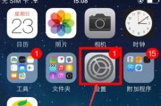 苹果手机的Home键设置之道（探索苹果手机Home键设置的关键性作用）