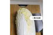 大白菜安装苹果系统的详细教程（让你的大白菜变身苹果电脑的秘密）