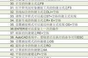 CAD中快捷键大全（节省时间、提升效率，掌握CAD软件的关键快捷键技巧）