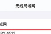 如何重新设置无线路由器（详解无线路由器的重新设置步骤及注意事项）
