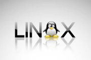 虚拟机Linux系统安装VSCode全攻略：从环境搭建到开发优化