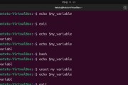 Linux如何查看存储空间大小（利用命令行工具查看Linux系统中的存储空间大小）