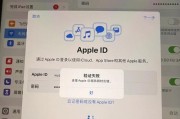 苹果电脑装系统显示错误的解决方法（应对苹果电脑装系统时出现的常见错误问题）