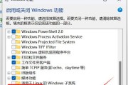 电脑蓝屏错误处理全攻略（解决电脑蓝屏错误的实用方法与技巧）