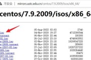 CentOSU盘安装教程（使用U盘进行CentOS安装，无需光盘，简单高效）