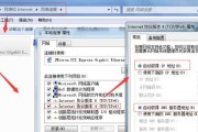 电脑显示DNS错误解决方法（解决电脑上的DNS错误，畅享稳定网络连接）