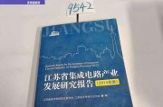 信息化集成行业的发展与前景（探索信息化集成行业的与发展趋势）